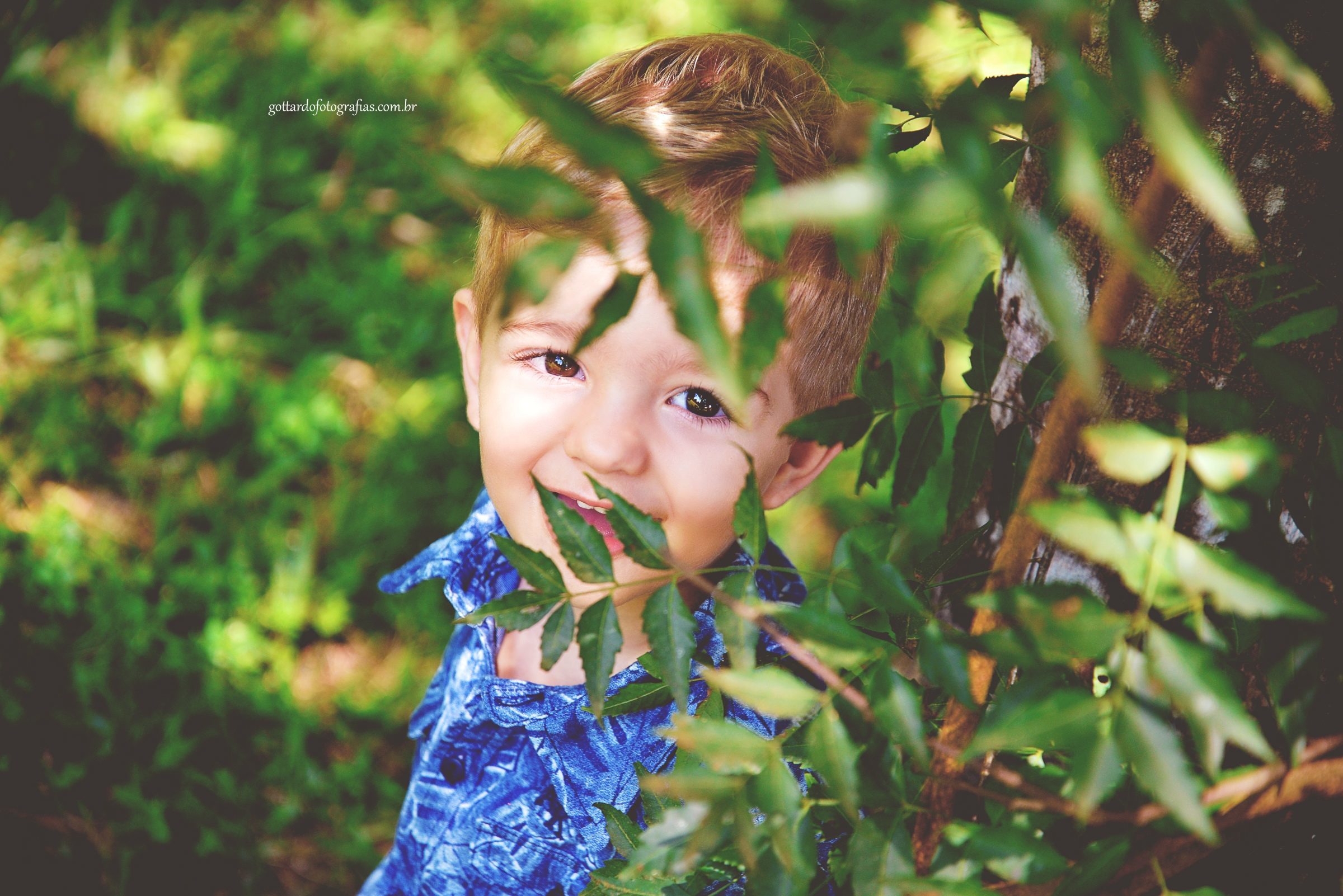 Foto de Gottardo Fotografias 1