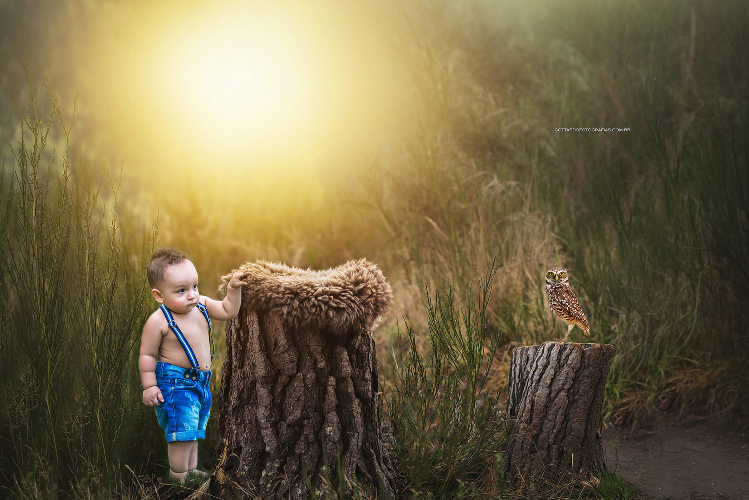 Foto de Gottardo Fotografias 0